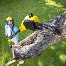 Best Lawn Edging Services  in Newcastle, WY